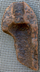 Schenkl Nose Fragment-7 inches long  ~  TL8046  $45