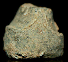 Civil War Lead Nipple Protector-Nice with Teat  ~  TL8153  $15