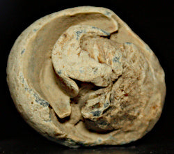 Civil War Carved Bullet - Nipple Protector  ~  TL8388  $17