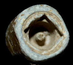 Civil War Carved Nipple Protector  ~  TL8396  $15
