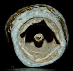 Civil War Carved Nipple Protector  ~  TL8396  $15