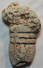 TL7371 Very Cool Partially Melted Bullet   $10