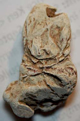 TL7371 Very Cool Partially Melted Bullet   $10