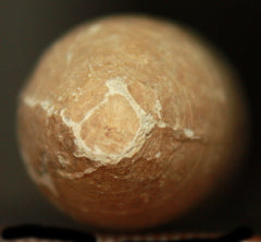 SOLD   Marshall Texas Enfield-Medium Body  ~  TL7960  SOLD-SOLD-SOLD