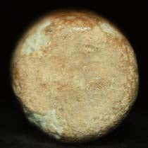 SOLD-SOLD-SOLD Mini Delvigne Bullet-Corinth  TL8019  $165 SOLD-SOLD-SOLD