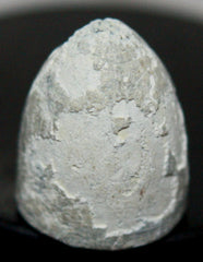 Unusual Starr Revolver Bullet-Nice  ~  TL8038  $25