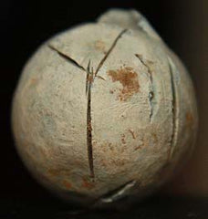 SOLD   Civil War Bullet - 0.75 caliber Musket Ball  SOLD-SOLD