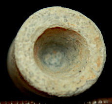 Civil War Bullet - NBF Enfield-Truncated Cone Cavity-Nice  ~  TL8252  $22