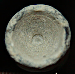 Confederate Enfield Bullet-Short-Odd Cavity  ~  TL8095  $14