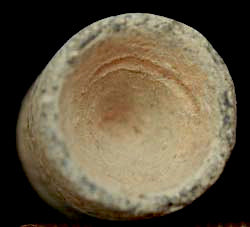 TL7021 Confederate Enfield Bullet  $10.00
