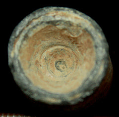 Side Cast Below Median Enfield Bullet  ~  TL8065  $25