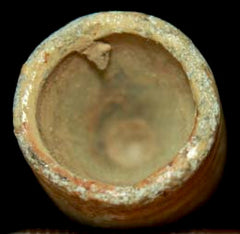 Unlisted 0.69 Caliber Bullet-Deep Cavity  ~  TL8036  $28
