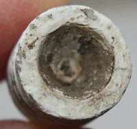 Foreign Mold bullet - Shiloh  TL6645