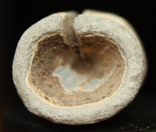 Carved Civil War Bullet TL6659