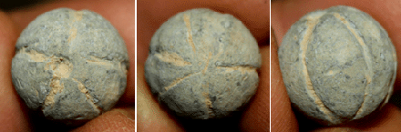 0.69 Caliber Round Ball Carved Into A Sports Ball/Pumpkin