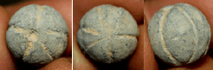 0.69 Caliber Round Ball Carved Into A Sports Ball/Pumpkin